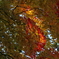 0C3A0768_aki