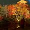 清水寺ライトアップ