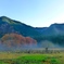 晩秋の里山