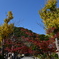 141124-29須磨寺