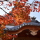 141124-30須磨寺