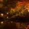 錦秋の夜