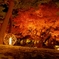 やさしい紅葉