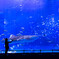 - Hello Sir fish -