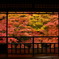 Picture of fall leaves