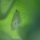 やさしさに包まれて