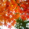 朝の公園