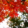 朝の公園