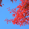 DSC01448