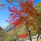 DSC01439 - バージョン 4