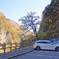 DSC01464 - バージョン 2