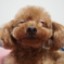 カメラを向けると　そのに