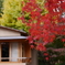 茶室と紅葉