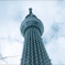 空木