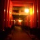 初詣　京都：伏見稲荷大社 ２０１０・１・２（土） 001 (8)