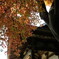 白岩寺の秋_5