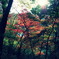 生田緑地