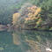 Autumn leaves and a pond.