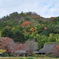 里山