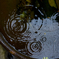 秋雨