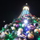 スカイツリーとクリスマスツリー２