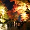 清水寺 紅葉 ライトアップ