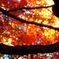 紅蓮菩薩