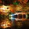 紅葉舞う夜