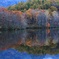 紅葉の鏡池２０１４　　３