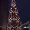 クリスマスツリー