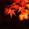 映える