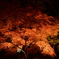 紅葉ライトアップ