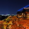 清水寺と夜景