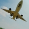 伊丹・千里川　Ｂ７７７