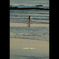 -Surfer Girl-
