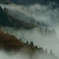 朝霧の渓谷#2