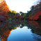 Autumn Colors