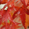 紅色の雨