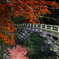 甲斐の猿橋