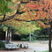 秋の京都御所