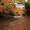 紅葉ロード