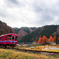 晩秋の長良川鉄道