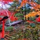 日本風景２６２ 寺　秋