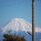 tiny fuji