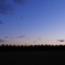 夕暮れ