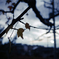 close to winter