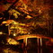 autumn bridge