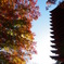 雅色－談山神社（十三重塔北面）
