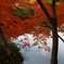 長岳寺の紅葉
