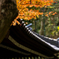 長谷寺の紅葉②